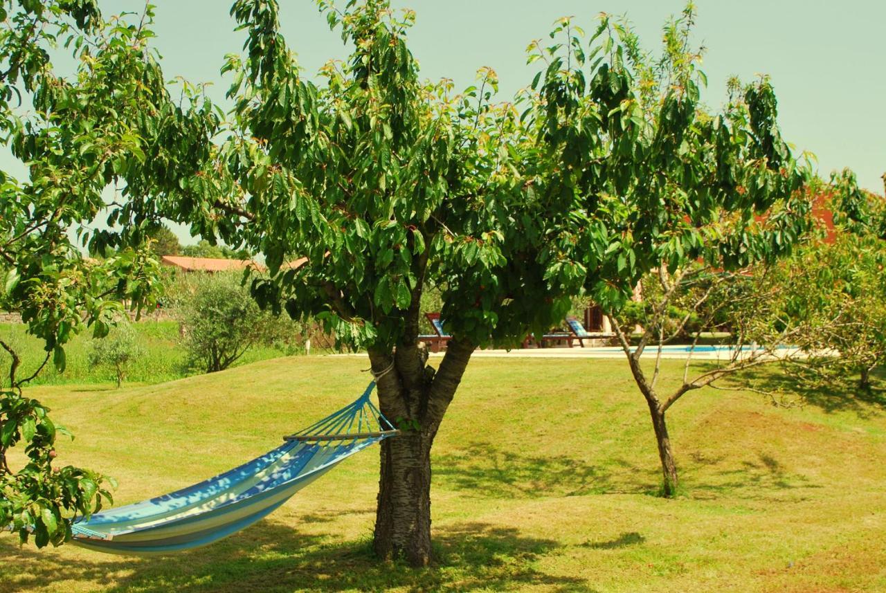 Villa Dorina Barban Exteriér fotografie