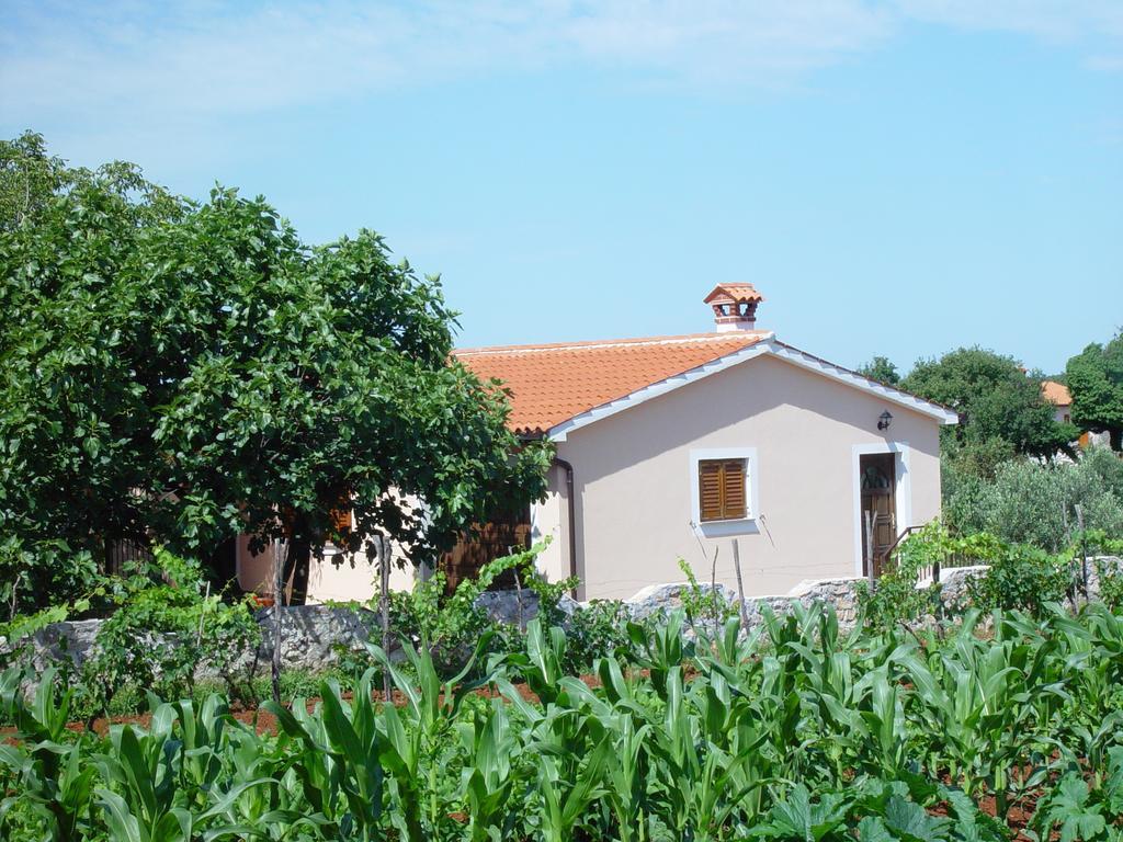 Villa Dorina Barban Pokoj fotografie
